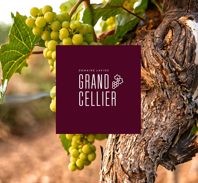 Logotype Vignes