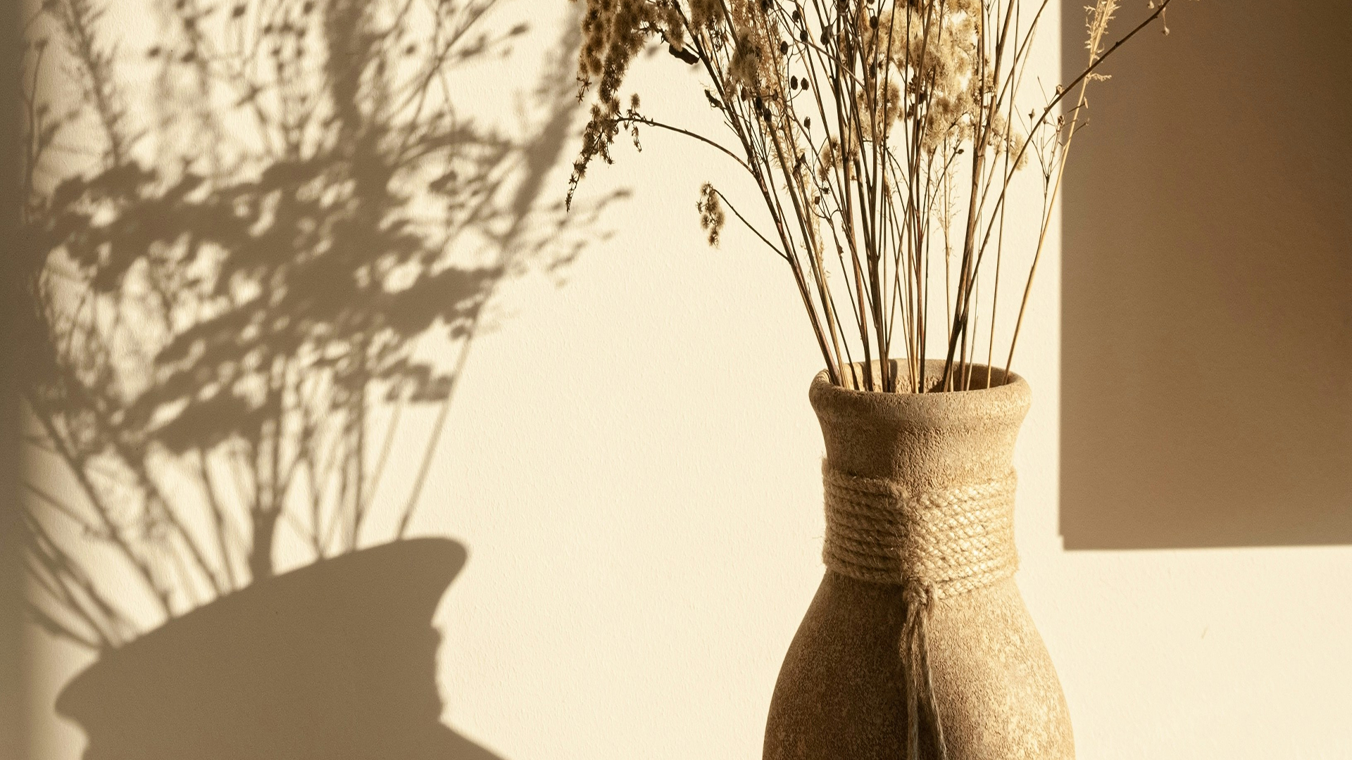 Identité visuelle de Maison Varène, marque de mobilier haut de gamme